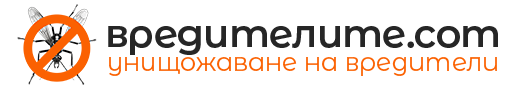 My Blog